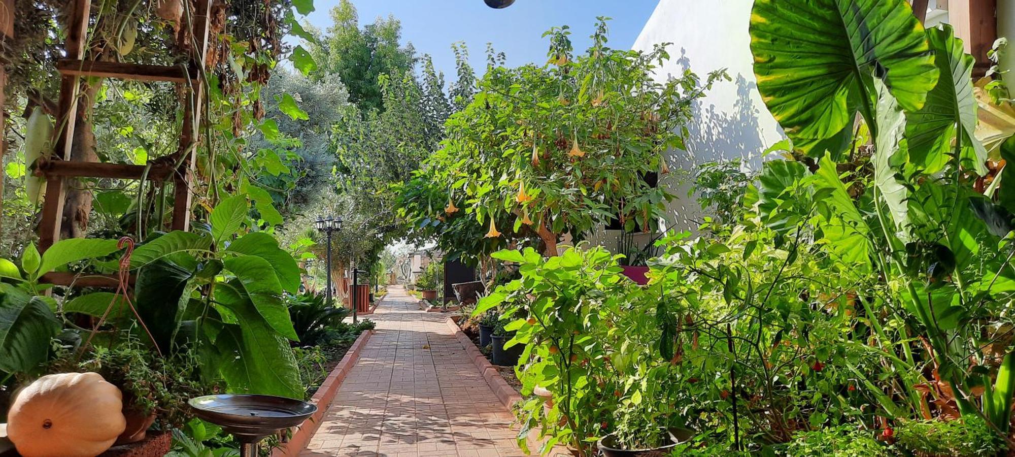 Osman Aga Culture House Apartment Famagusta  Exterior foto